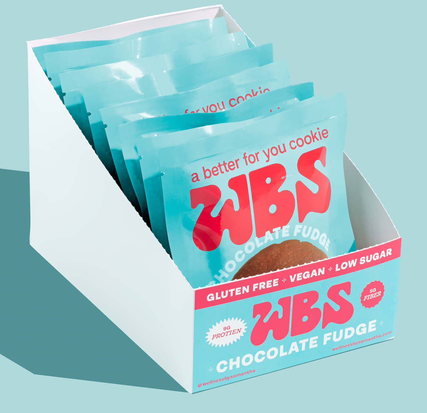 WBS