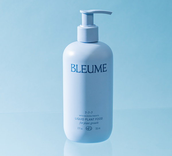 image of Bleume