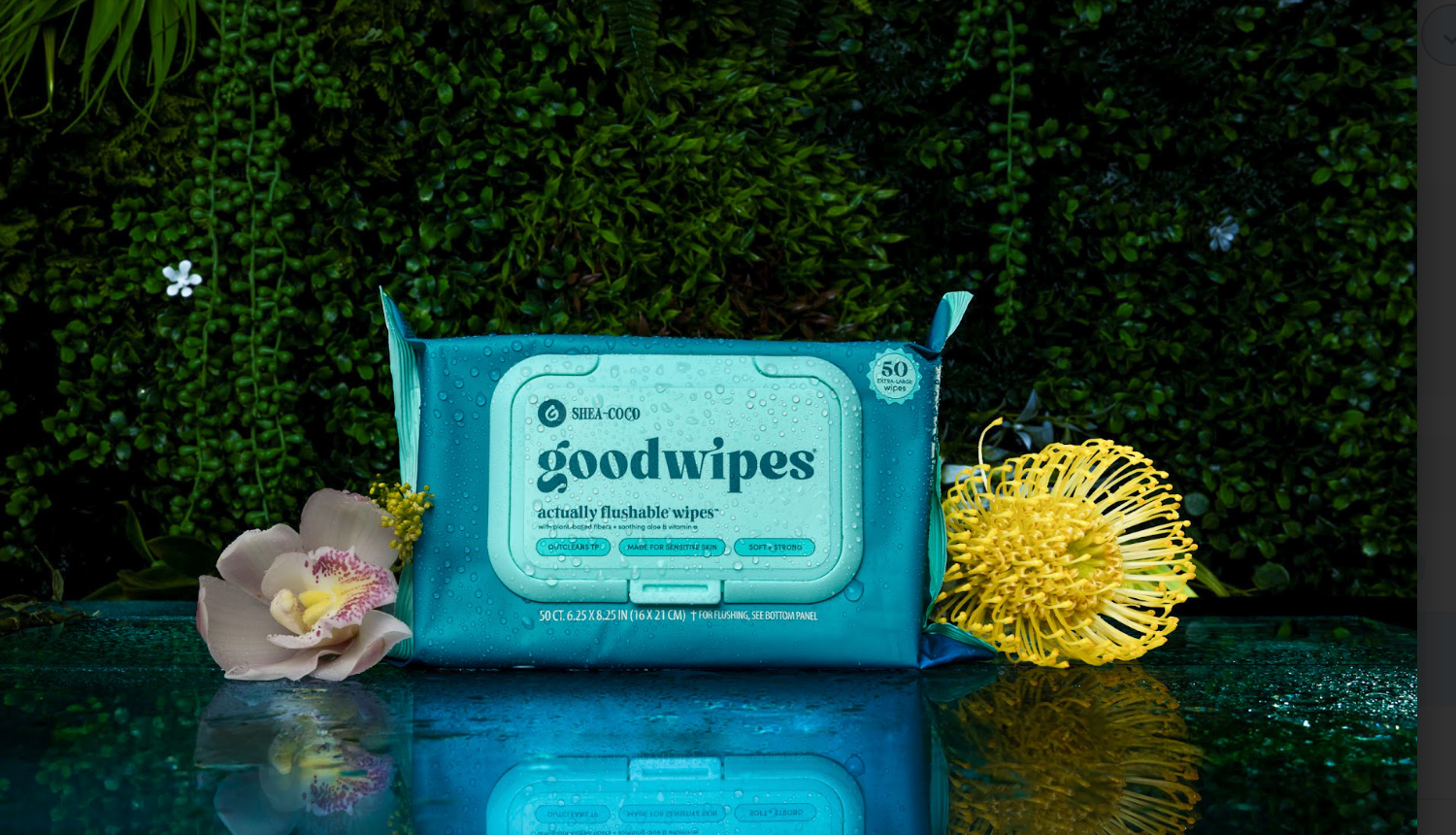 goodwipes