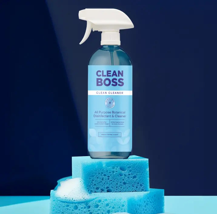 CleanBoss