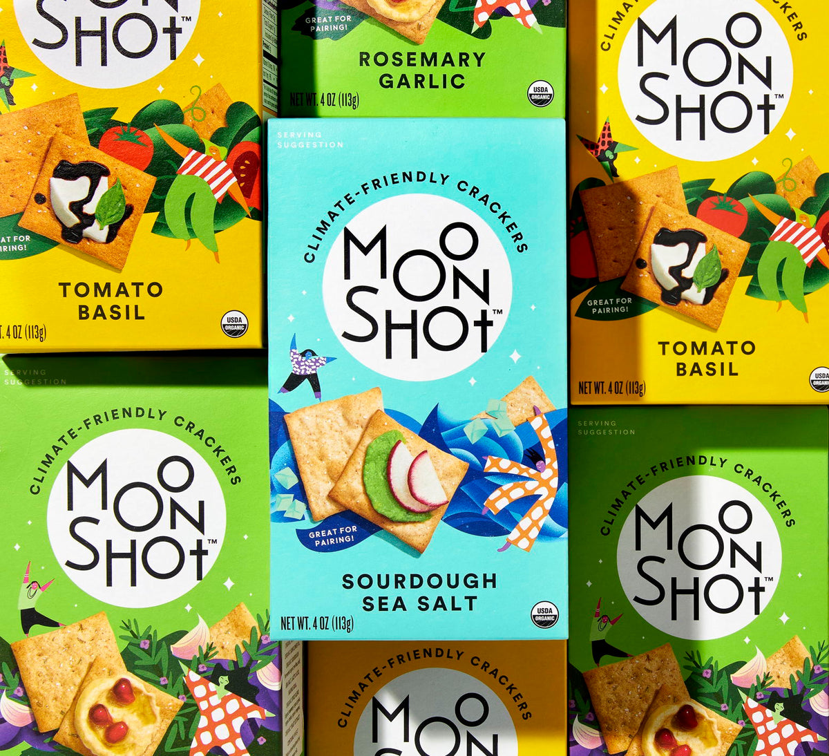 Moonshot