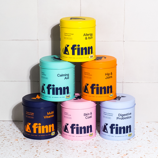 image of Finn